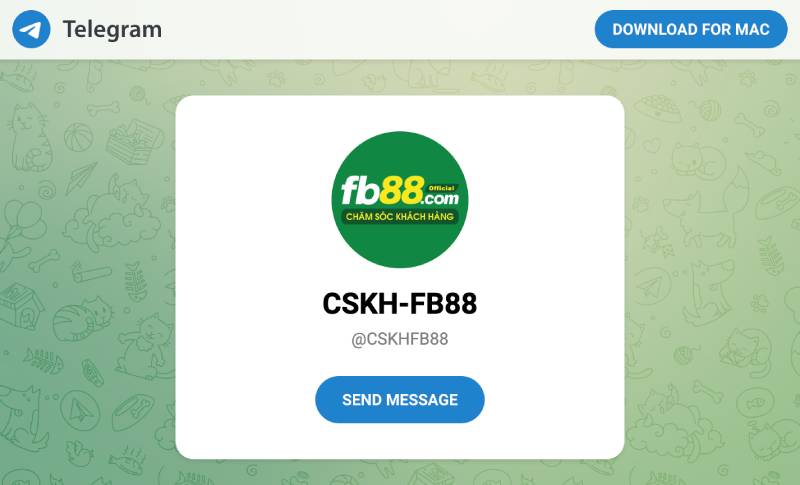Hỗ trợ qua Telegram & Skype – Nhanh chóng & tiện lợi